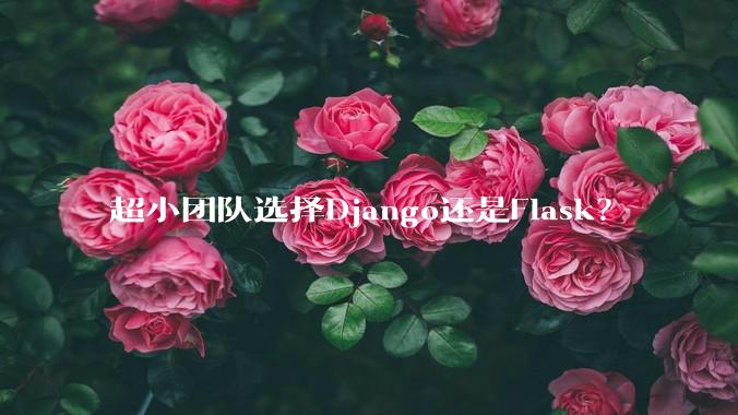 超小团队选择Django还是Flask？