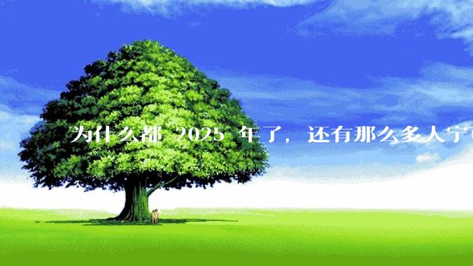 为什么都 2025 年了，还有那么多人宁可双持，也不愿意放弃安卓或非安卓手机？