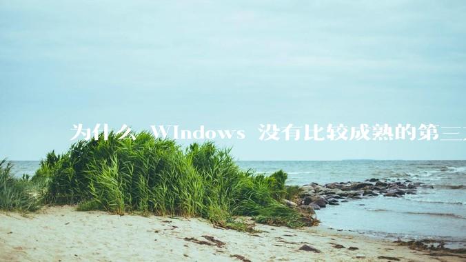 为什么 Windows 没有比较成熟的第三方桌面环境（explorer.exe）？